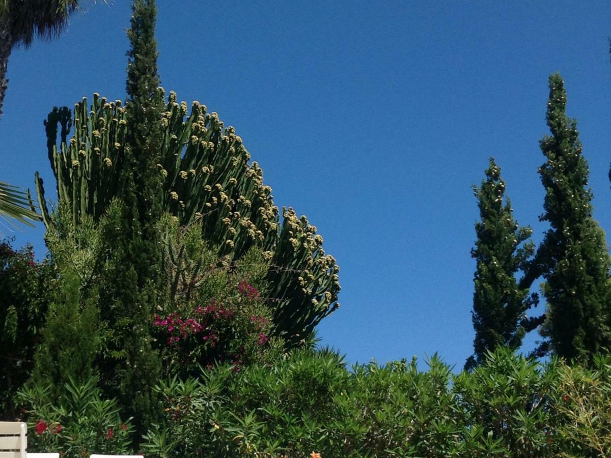 Casa Grecia Leilighet Santa Eularia des Riu Eksteriør bilde